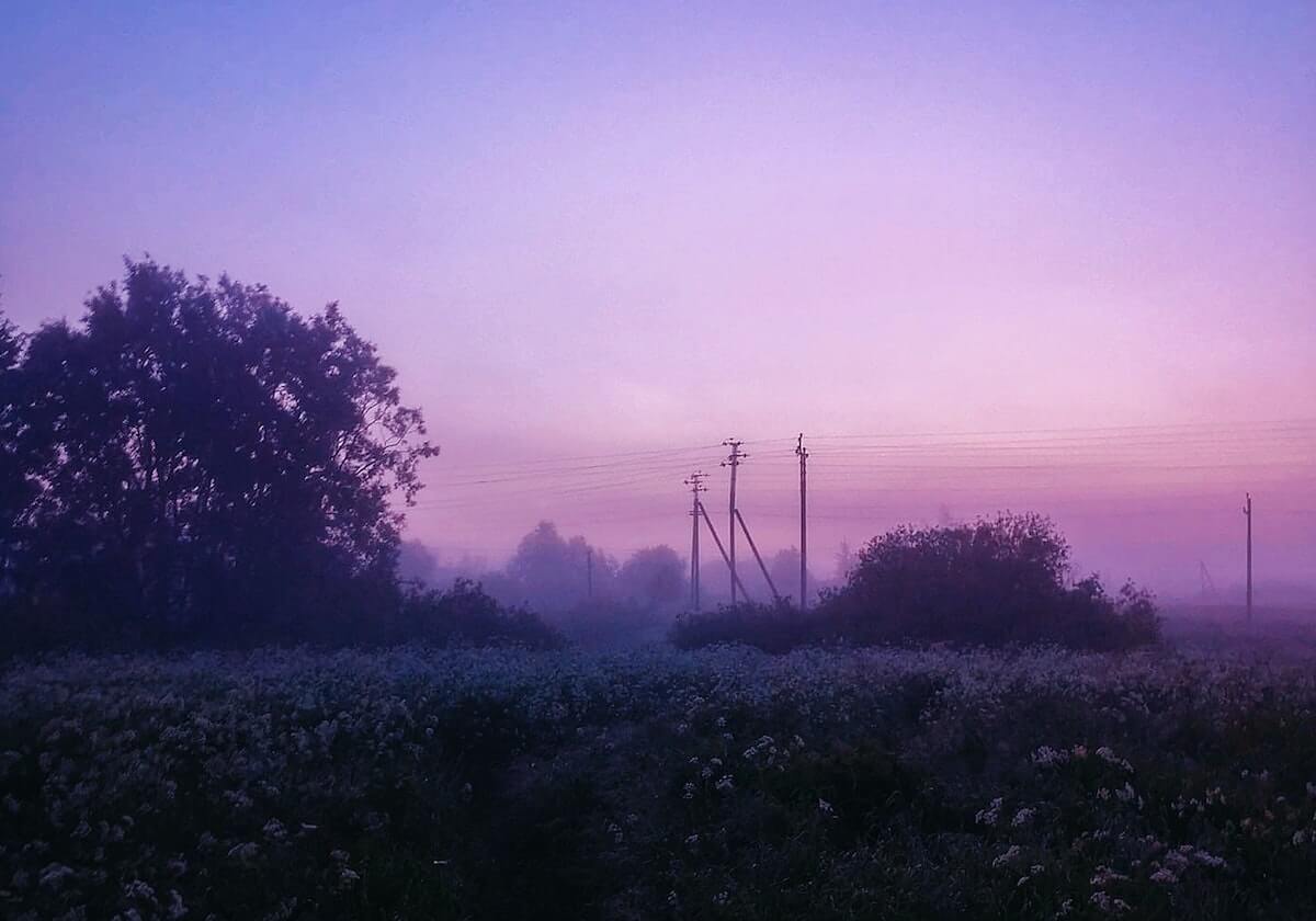 张镇麟对阵广东个人集锦回顾，全场得到23分3板2断
